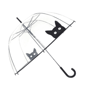 Regenschirm durchsichtig