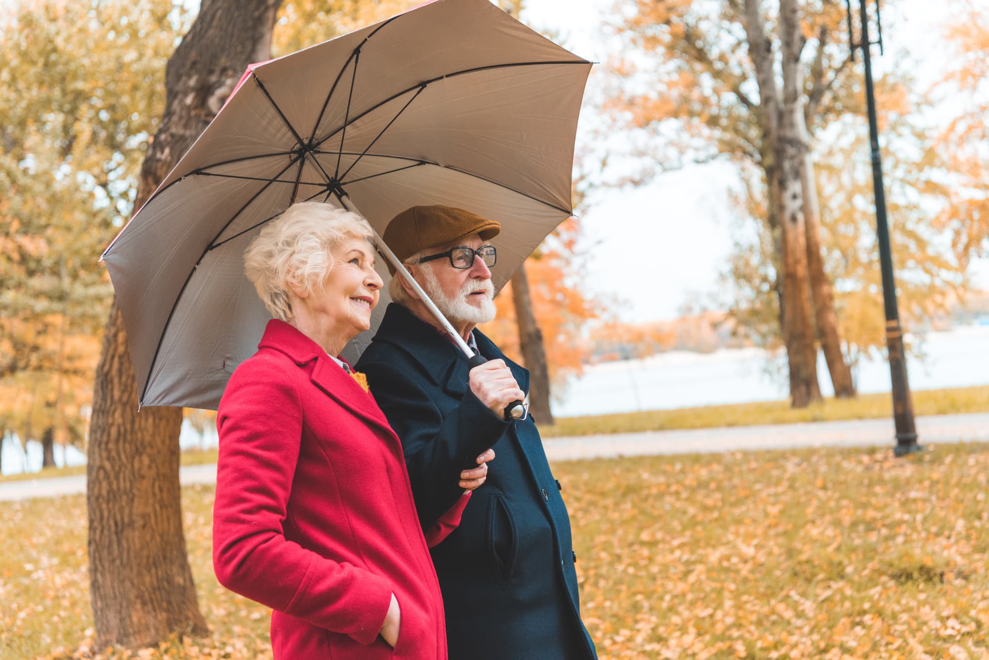 Пенсионеры осенью. Пожилая пара в осеннем парке. Прогулка пожилых людей. Осень пожилые. Пожилые люди осень.