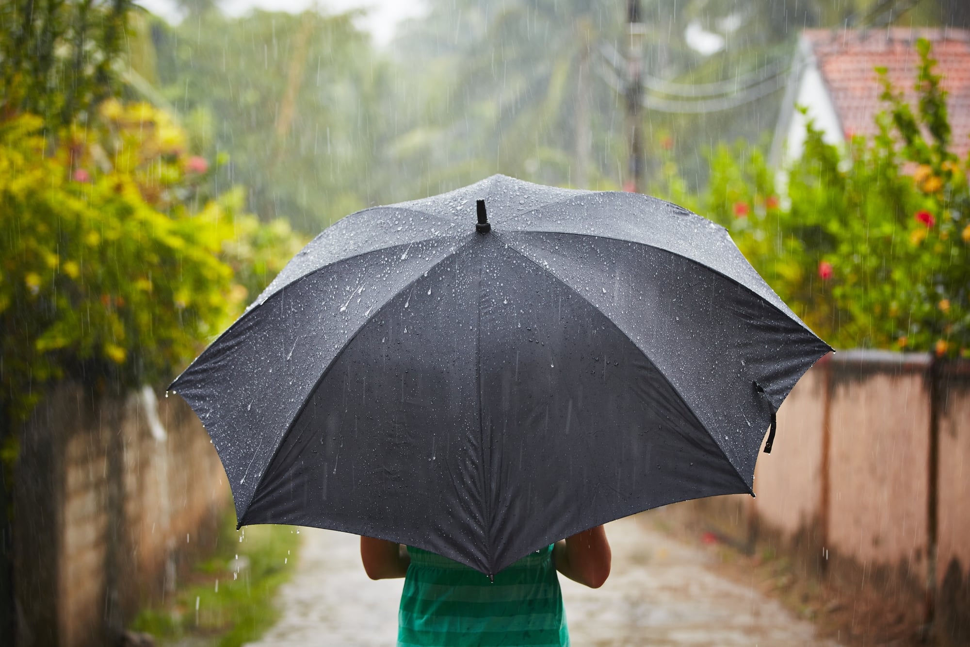 Одолжил ей зонтик. Мокрый зонт. Зонтик под дождем. Зонт под дождем. Дождевой зонт.